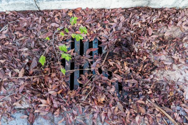 Yard Drain Unclogging in Chesterfield
