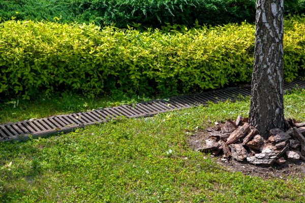 Residential Landscape Drainage in Chesterfield