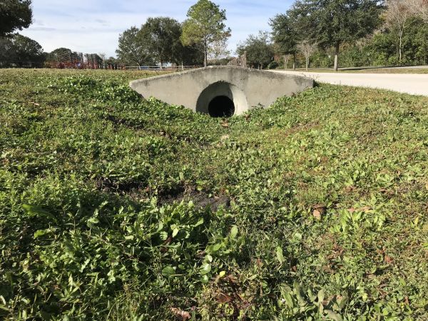 Cost of Swale Drainage Service in Chesterfield